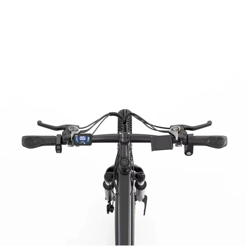 RIDSTAR S29 Pro 29" Elektrisches Mountainbike 1000W Motor 48V 21Ah Batterie