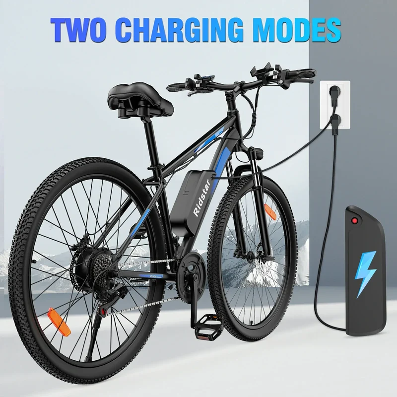 RIDSTAR S29 Pro 29" Elektrisches Mountainbike 1000W Motor 48V 21Ah Batterie