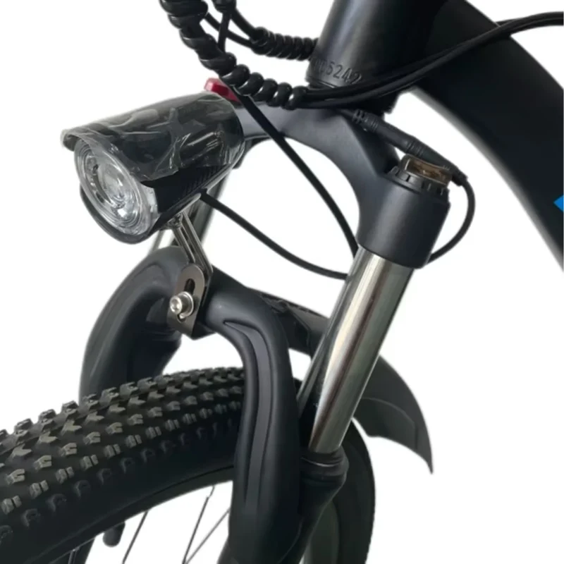 RIDSTAR S29 Pro 29" Elektrisches Mountainbike 1000W Motor 48V 21Ah Batterie