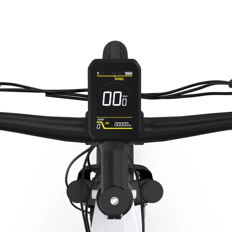 ONESPORT OT05 Durchstieg City-Elektrofahrrad Kombination