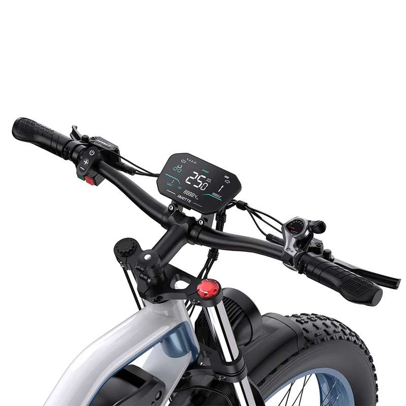 DUOTTS N26 26" Fat Tire Electric Mountainbike 750W Doppelmotoren 48V 20Ah Batterie