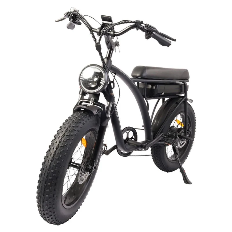 BEZIOR XF001 20" Fat Tires Retro elektrisches All-Terrain-Fahrrad 1000W Motor 48V 12,5Ah Batterie