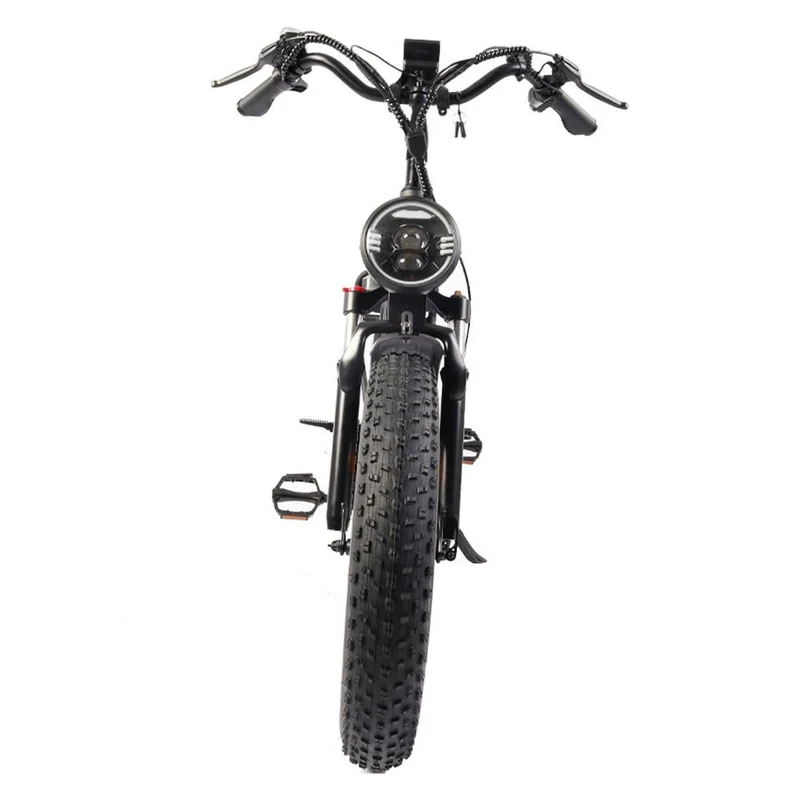 BEZIOR XF001 20" Fat Tires Retro elektrisches All-Terrain-Fahrrad 1000W Motor 48V 12,5Ah Batterie
