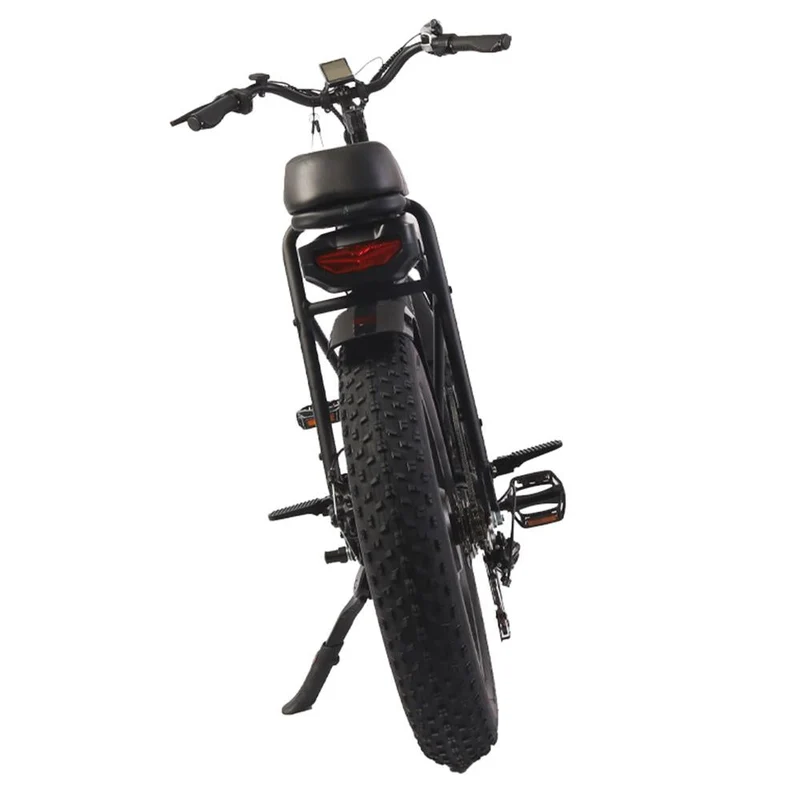BEZIOR XF001 20" Fat Tires Retro elektrisches All-Terrain-Fahrrad 1000W Motor 48V 12,5Ah Batterie