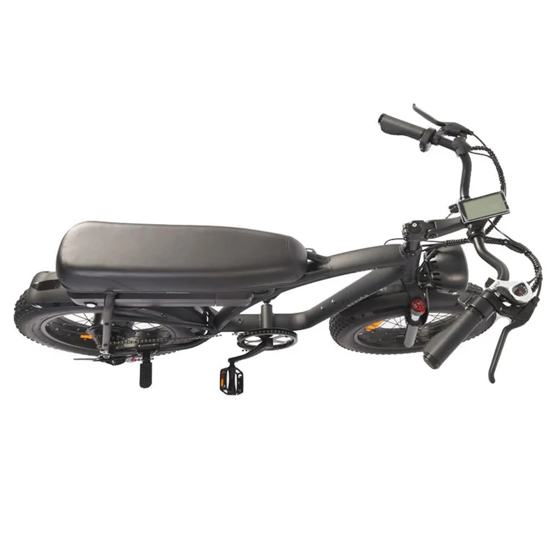 BEZIOR XF001 20" Fat Tires Retro elektrisches All-Terrain-Fahrrad 1000W Motor 48V 12,5Ah Batterie