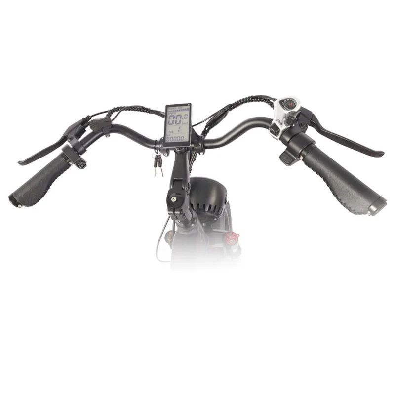 BEZIOR XF001 20" Fat Tires Retro elektrisches All-Terrain-Fahrrad 1000W Motor 48V 12,5Ah Batterie