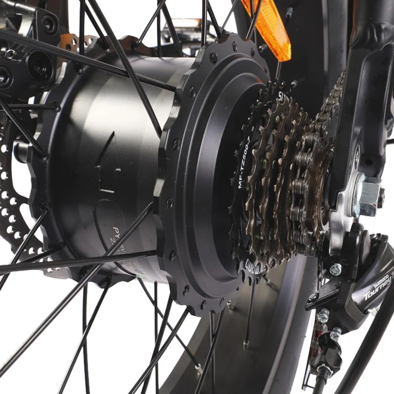 BEZIOR XF001 20" Fat Tires Retro elektrisches All-Terrain-Fahrrad 1000W Motor 48V 12,5Ah Batterie