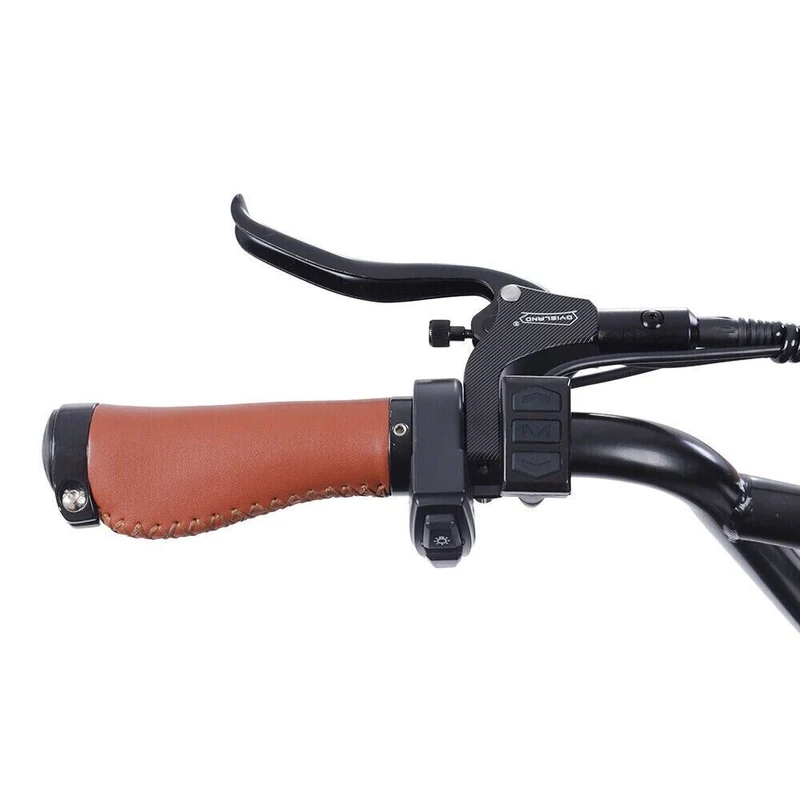 GOGOBEST GF750 PLUS 20" Elektro-City-Retro-Fahrrad 2000W Motor 48V 17,5Ah Batterie