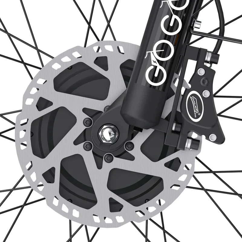 GOGOBEST GF750 PLUS 20" Elektro-City-Retro-Fahrrad 2000W Motor 48V 17,5Ah Batterie