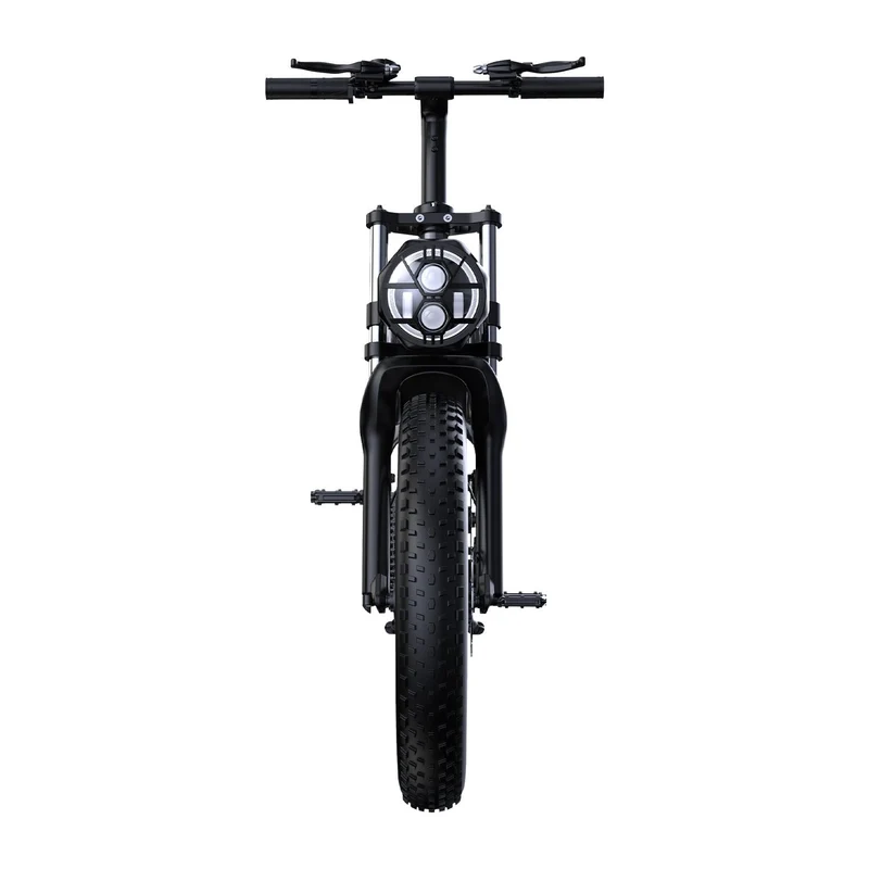 PHNHOLUN C8 20" Elektro-Mountainbike MTB 1500W Motor 48V 20Ah Batterie