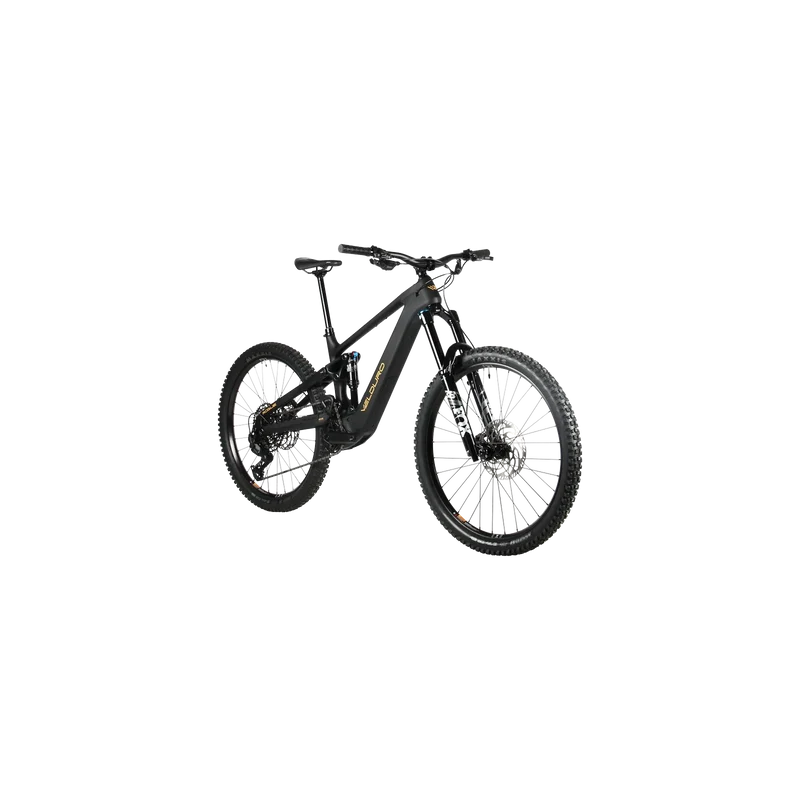 Velduro Rogue X - E-MTB | powered by DJI