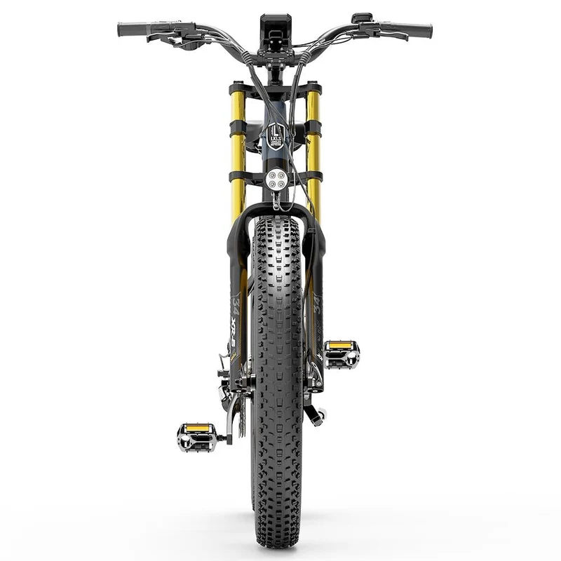 LANKELEISI RV700 26" Fat Tire Mountain Elektrofahrrad 1000W Motor 48V 16Ah Batterie