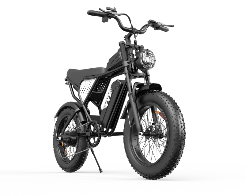 YVY C20Lite 20" Fat Tire Elektrofahrrad 1000W Motor 48V 15Ah Batterie