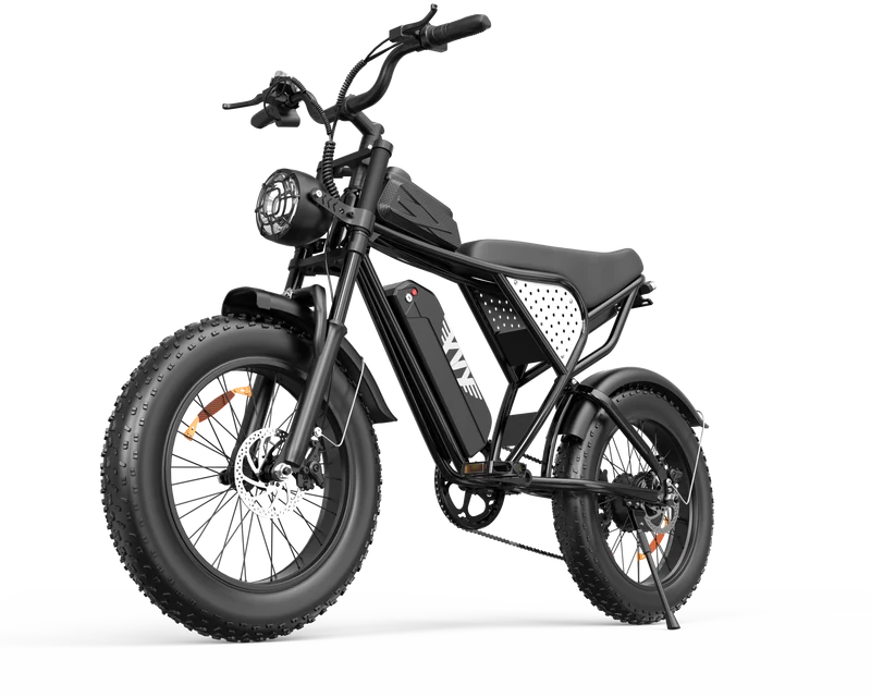 YVY C20Lite 20" Fat Tire Elektrofahrrad 1000W Motor 48V 15Ah Batterie