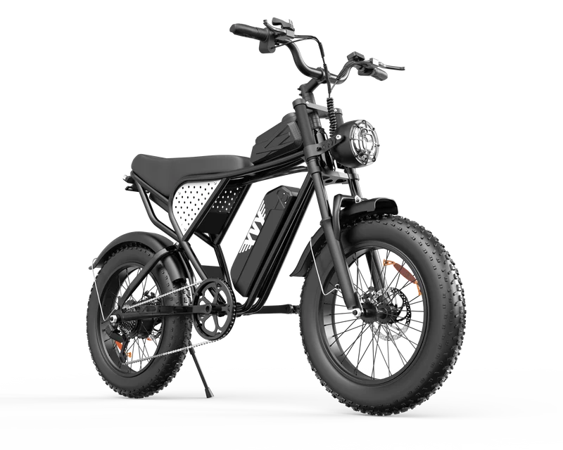 YVY C20Lite 20" Fat Tire Elektrofahrrad 1000W Motor 48V 15Ah Batterie