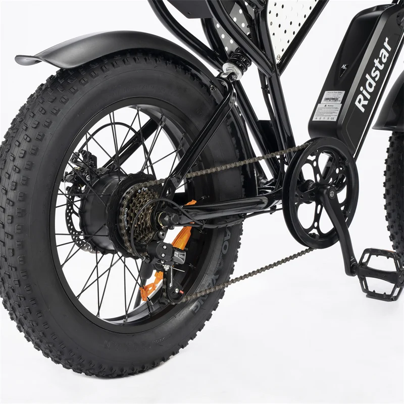 YVY C20Lite 20" Fat Tire Elektrofahrrad 1000W Motor 48V 15Ah Batterie