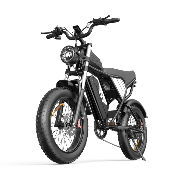YVY C20 20" Fat Tires Elektrofahrrad 1000W Motor 48V 20Ah Batterie