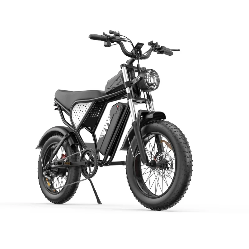 YVY C20 20" Fat Tires Elektrofahrrad 1000W Motor 48V 20Ah Batterie