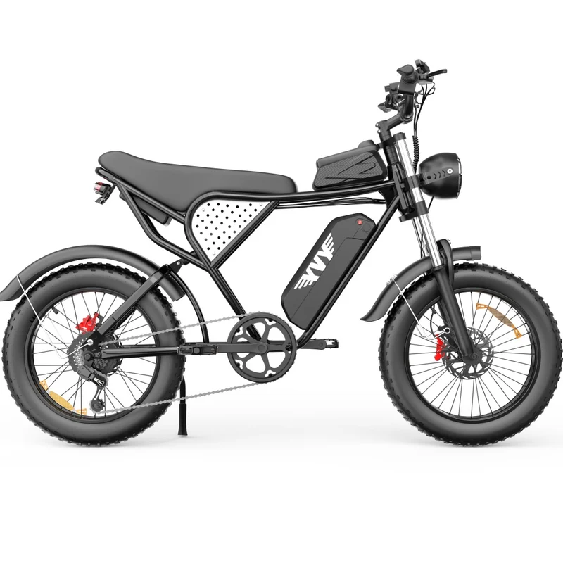 YVY C20 20" Fat Tires Elektrofahrrad 1000W Motor 48V 20Ah Batterie