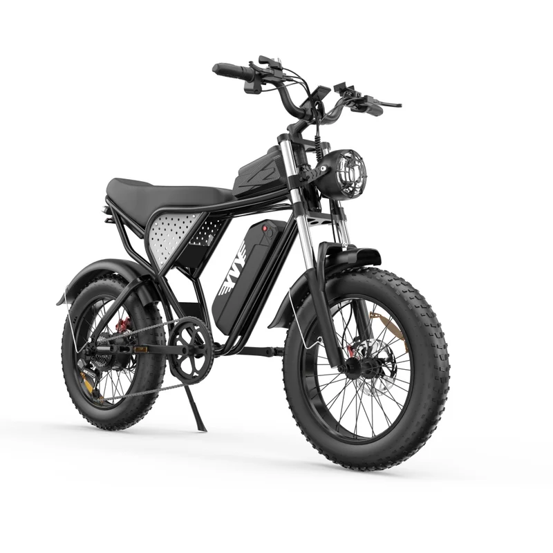 YVY C20 20" Fat Tires Elektrofahrrad 1000W Motor 48V 20Ah Batterie