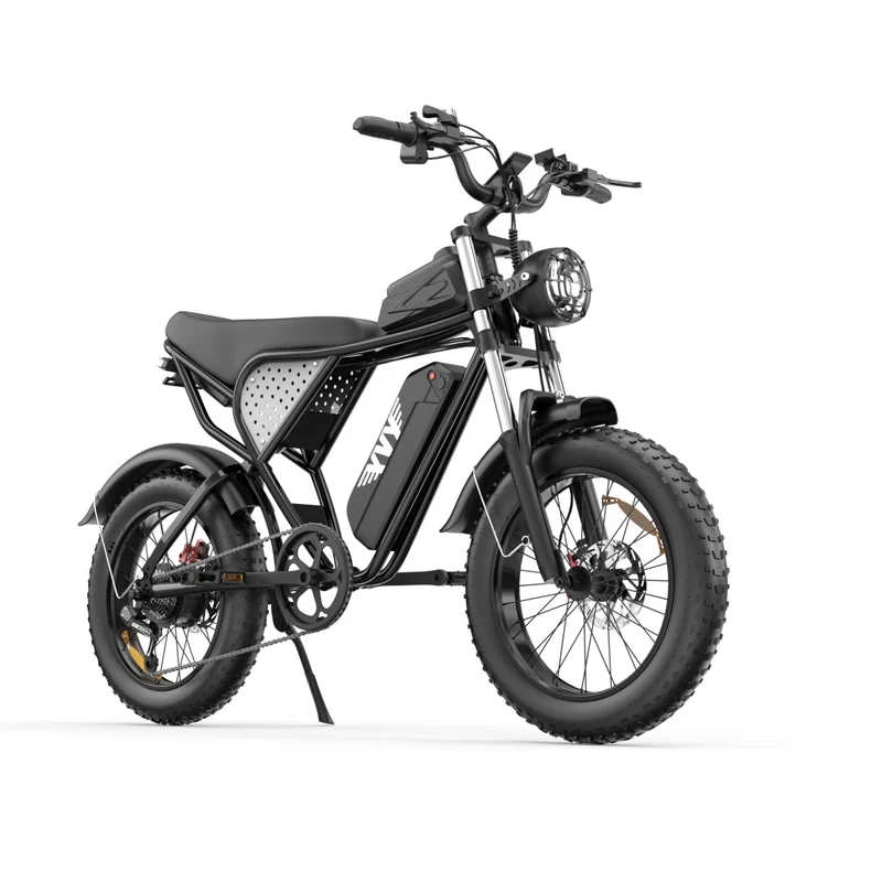 YVY C20 20" Fat Tires Elektrofahrrad 1000W Motor 48V 20Ah Batterie