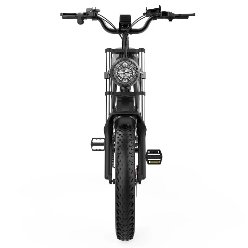 YVY C20 20" Fat Tires Elektrofahrrad 1000W Motor 48V 20Ah Batterie