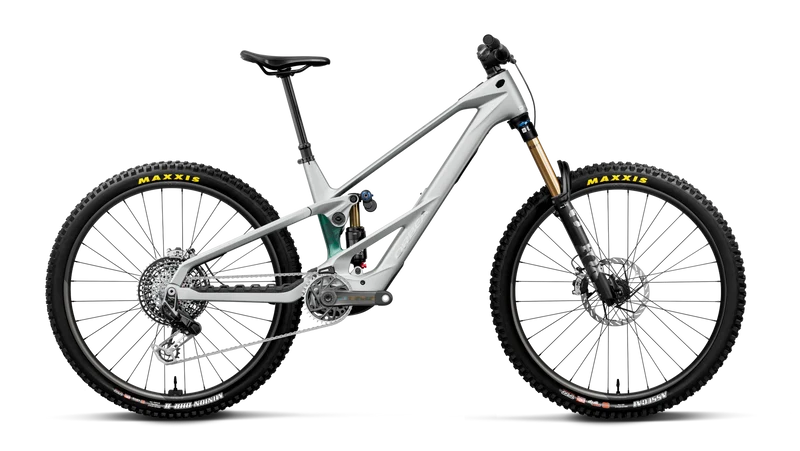 Orbea Wild LT M-LTD RS