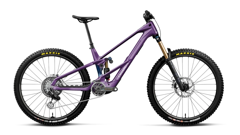 Orbea Wild LT M-LTD RS