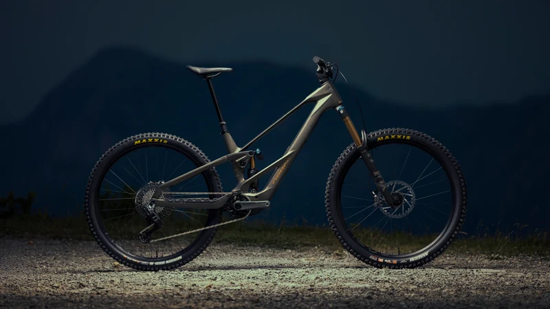Orbea Wild LT M-TEAM RS