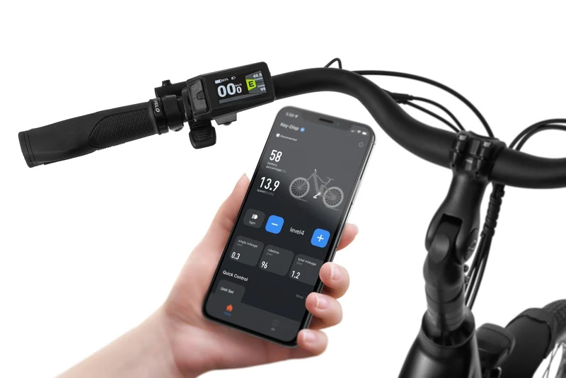 Ecobike X-City Americano 2027 | City E-Bike Tiefeinsteiger | Bafang 45 Nm | bis 630 Wh