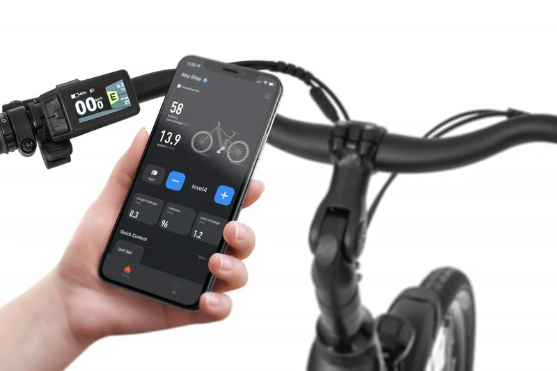 Ecobike X-City Schwarz 2026