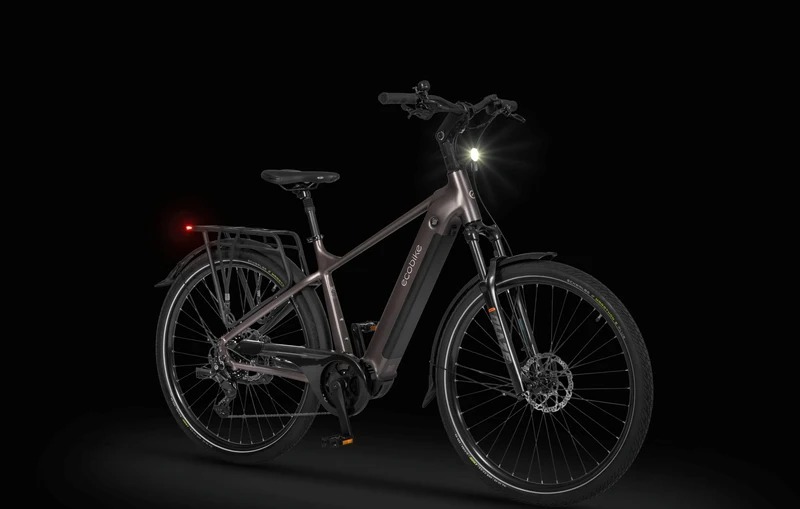 Ecobike MX 300 Golden Grey 2026
