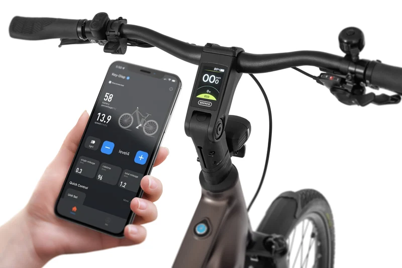 Ecobike MX 300 Golden Grey 2026