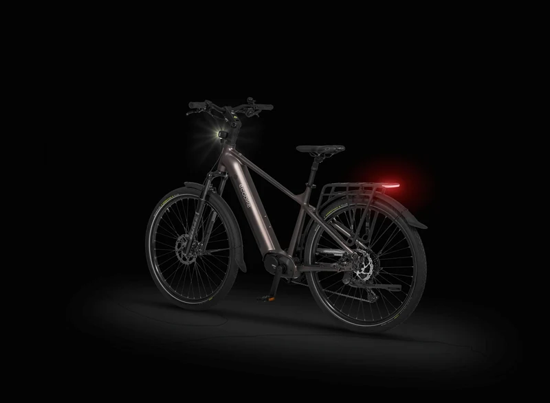 Ecobike MX 300 Golden Grey 2026