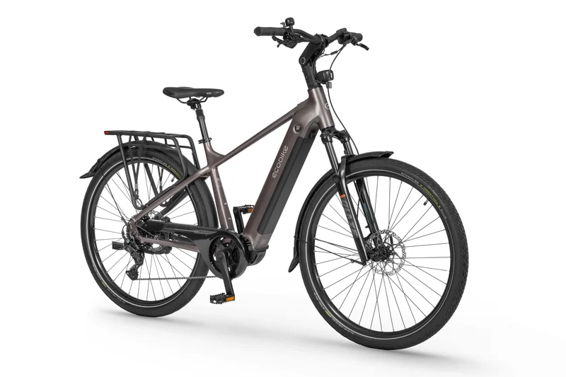 Ecobike MX 300 Golden Grey 2026