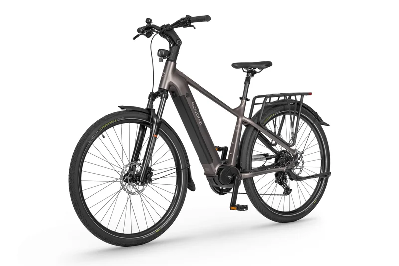 Ecobike MX 300 Golden Grey 2026
