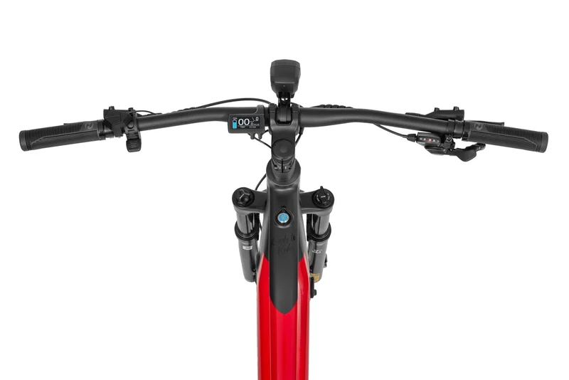 Ecobike RX 500 SUV Hardtail 2026 – Power SUV E-Bike | Ananda 130 Nm | 720–960 Wh