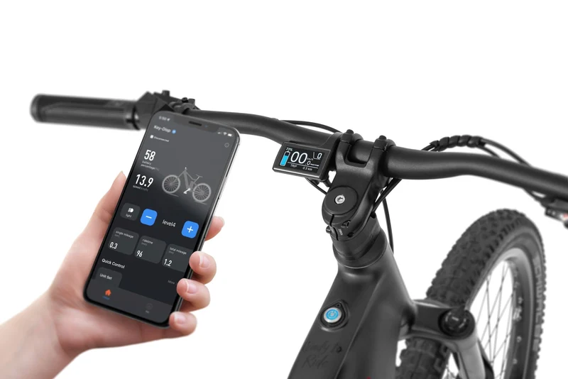Ecobike RX 500 Hardtail 2026 – Power E-MTB | Ananda 130 Nm | bis 960 Wh