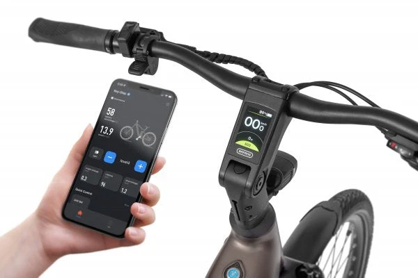 Ecobike LX 300 Onyx 2026