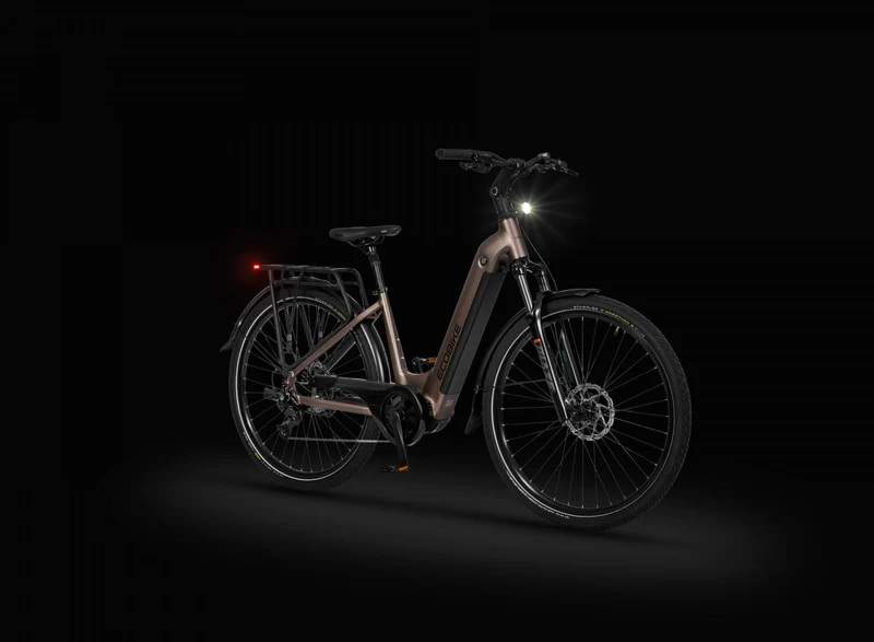 Ecobike LX 300 Onyx 2026