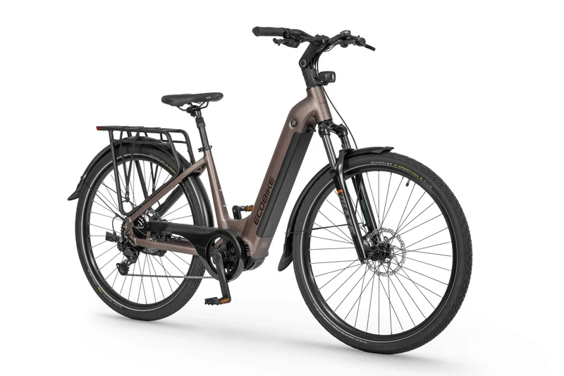 Ecobike LX 300 Onyx 2026