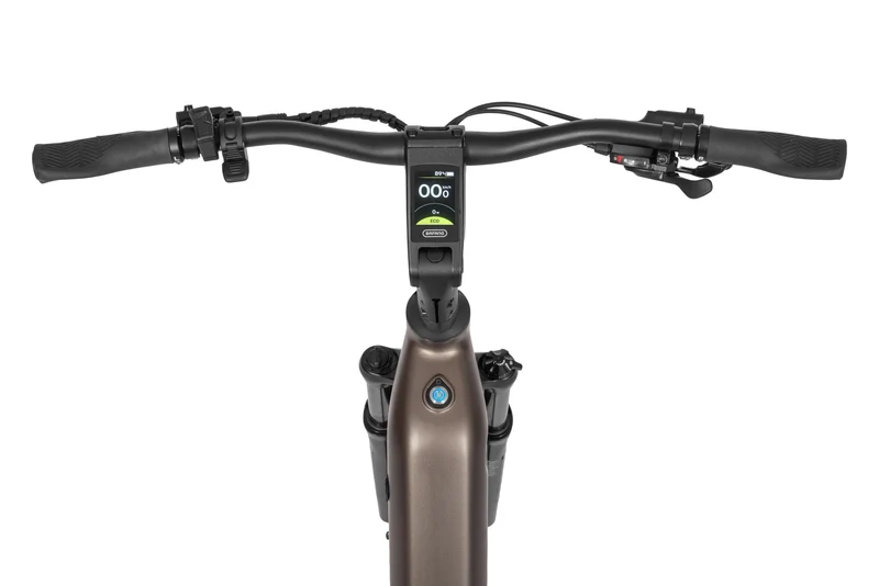 Ecobike LX 300 Onyx 2026