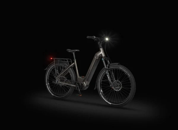 Ecobike DARE Low Step 2026 – Premium Step-Through E-Bike mit Panasonic GXM | Gates Belt