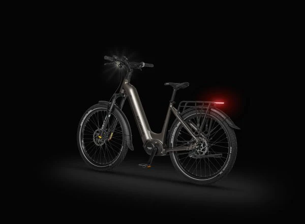 Ecobike DARE Low Step 2026 – Premium Step-Through E-Bike mit Panasonic GXM | Gates Belt