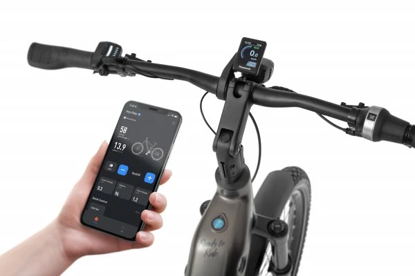 Ecobike DARE Low Step 2026 – Premium Step-Through E-Bike mit Panasonic GXM | Gates Belt