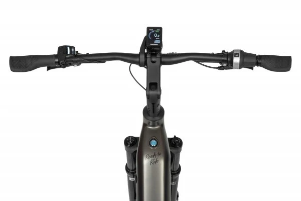 Ecobike DARE Low Step 2026 – Premium Step-Through E-Bike mit Panasonic GXM | Gates Belt