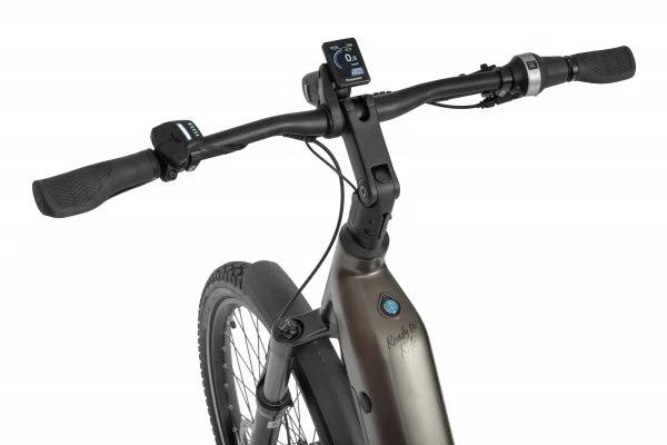 Ecobike DARE Low Step 2026 – Premium Step-Through E-Bike mit Panasonic GXM | Gates Belt