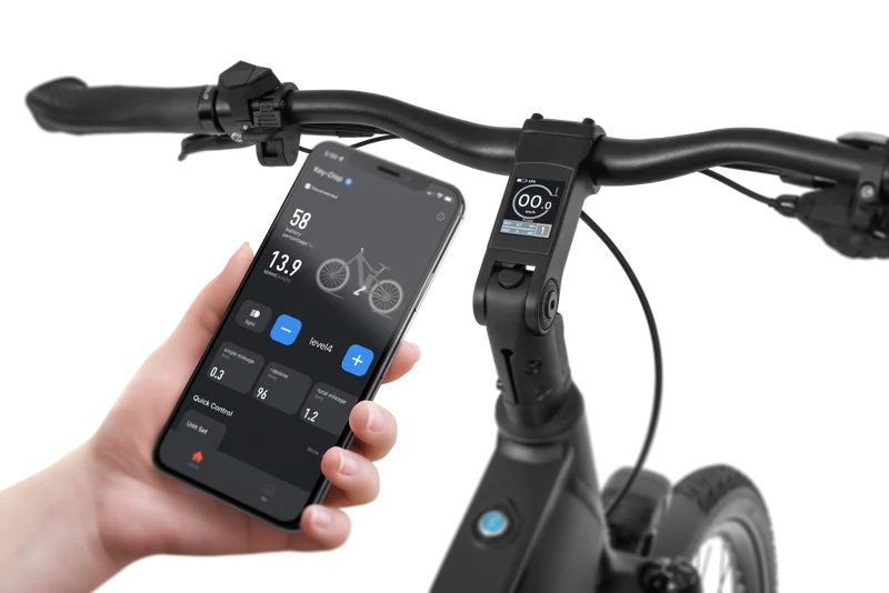 Ecobike MX 500 Graphite 2026