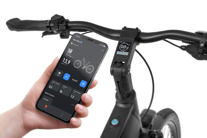 Ecobike LX 500 Graphite 2026