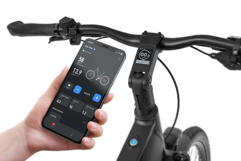 Ecobike LX 500 Graphite 2026